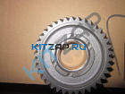 �������� ����� ��������  
